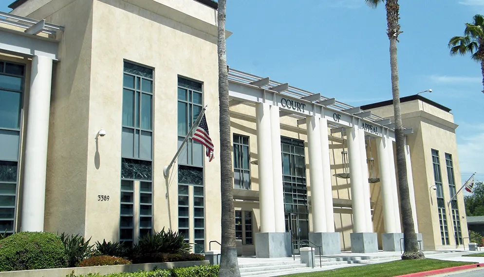 Legal Services background; court of appeal